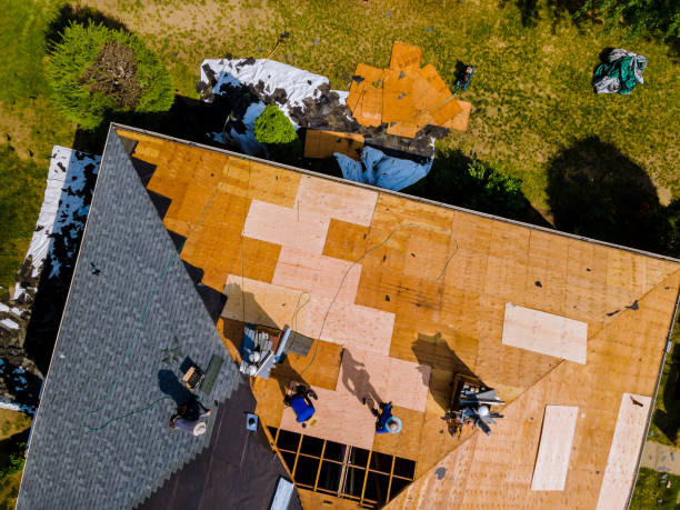 Best Commercial Roofing Services  in Lyons, CO