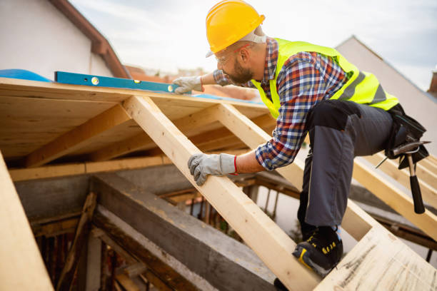 Best Roof Maintenance Services  in Lyons, CO