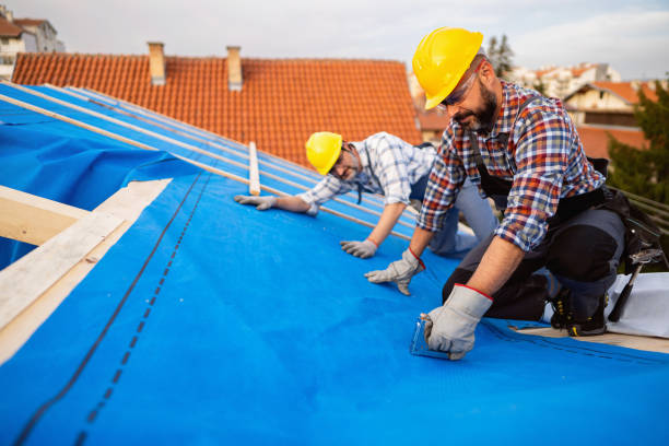 Best Best Roofing Contractors  in Lyons, CO