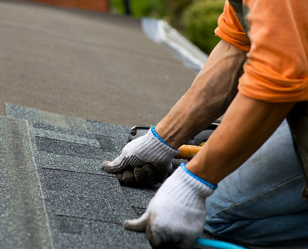 Best Roof Gutter Cleaning  in Lyons, CO
