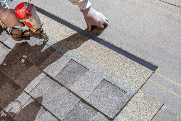 Best Metal Roofing Contractor  in Lyons, CO